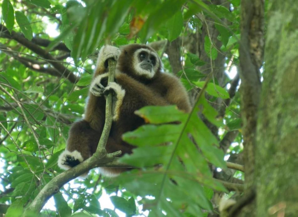 Sama Sama Homestay & Trekking Only Stay Here Book Trekking And Transport With Us Bukit Lawang Exterior photo