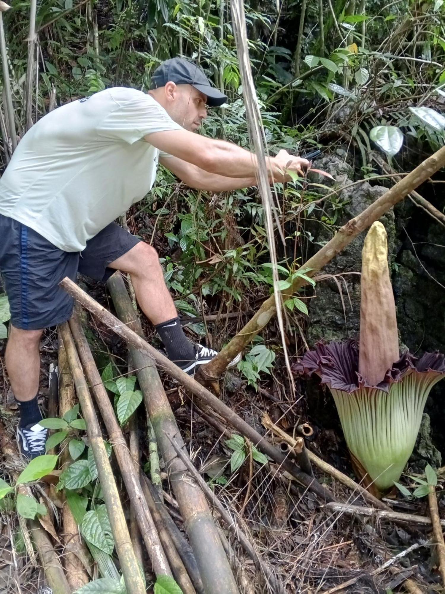 Sama Sama Homestay & Trekking Only Stay Here Book Trekking And Transport With Us Bukit Lawang Exterior photo