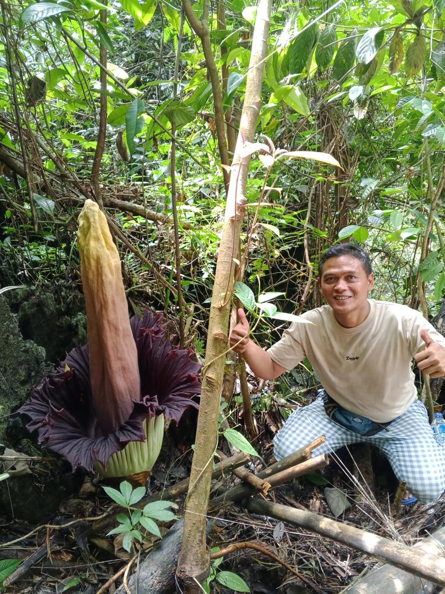 Sama Sama Homestay & Trekking Only Stay Here Book Trekking And Transport With Us Bukit Lawang Exterior photo