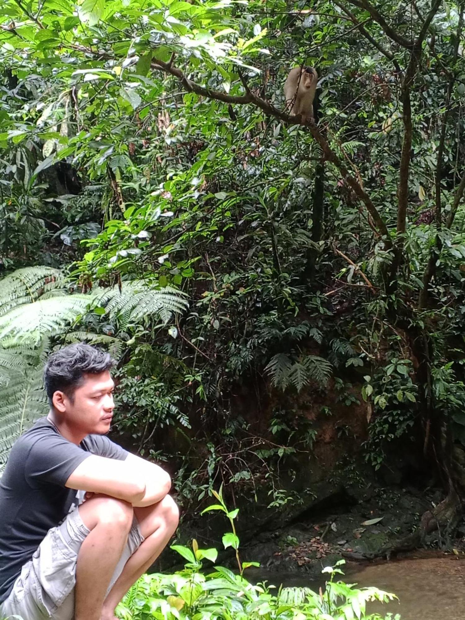 Sama Sama Homestay & Trekking Only Stay Here Book Trekking And Transport With Us Bukit Lawang Exterior photo